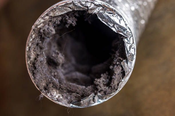 Best Ductwork Cleaning Services  in West Portsmouth, OH