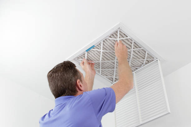 Best Air Duct Mold Removal  in West Portsmouth, OH